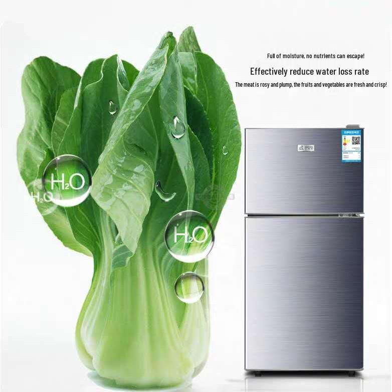 Compact Single-Door Refrigerator for Apartments/Offices