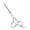 Professional Hairdressing Scissors 5.5" 6" Japan Stainless Shop Hair Cutting Scissors Salon Thinning Shears