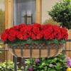 Handmade Artificial Begonia Geranium Flower Pot for Home Decor