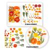 Natural Dried Flower For Epoxy Resin Molds Dry Flowers and Leaves Set for Art Craft Candle Jewelry Making Scrapbooking