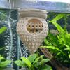 Reptiles – Terrarios de reptiles