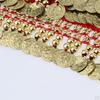 Fashion Style Velvet Dangling Coins Belly Dance Triangle Hip Scarf