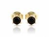 585 Gold Stud Earrings with Black Onyx, Delicate and Stylish
