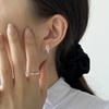 Niche Design Zirconia Earrings Female Lukewarm Style Fashion Minimalist Temperament Senior Sense of Hundred with The Models of Exquisite Earrings