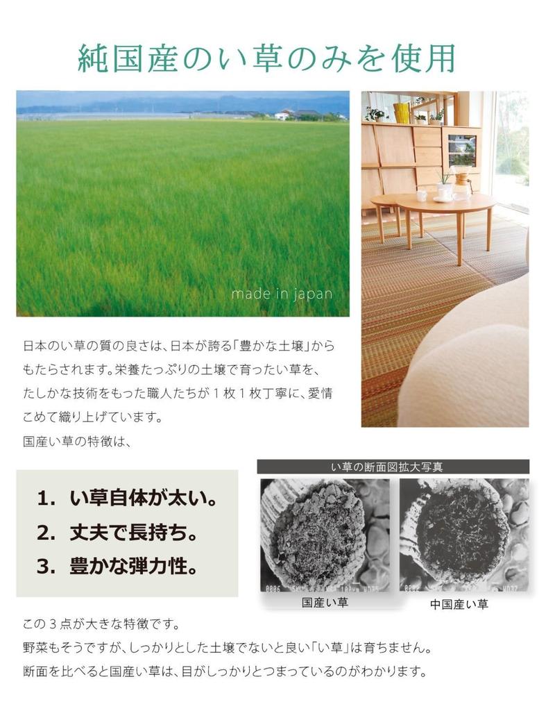 IKEHIKO Rush Grass Rug/Carpet, DX Kumiko Pattern, Approx. 95 X 150cm, Gray, Made In Japan, Non-Woven Backing #1715350