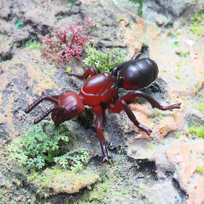 Montessori Insect Animal Model Set With Realistic Plastic Figures For Educational Play And Recognition