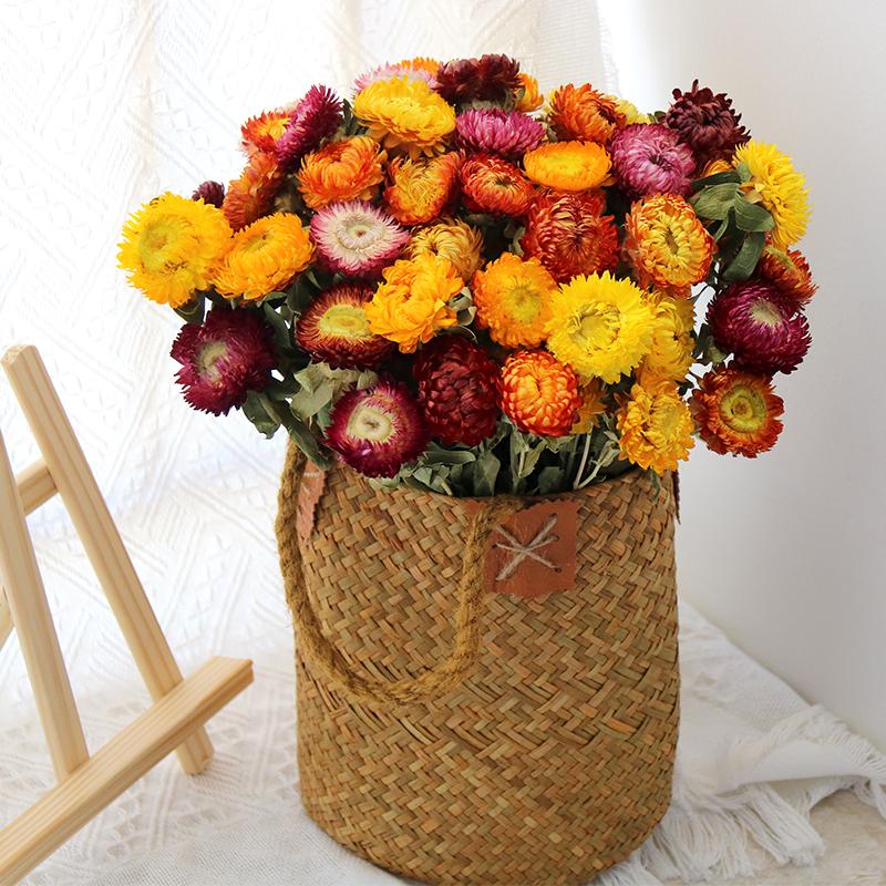 Daisy Dried Flower Bouquet for Living Room and Bedroom Décor - Natural Yunnan Flowers for Display or Photo Props
