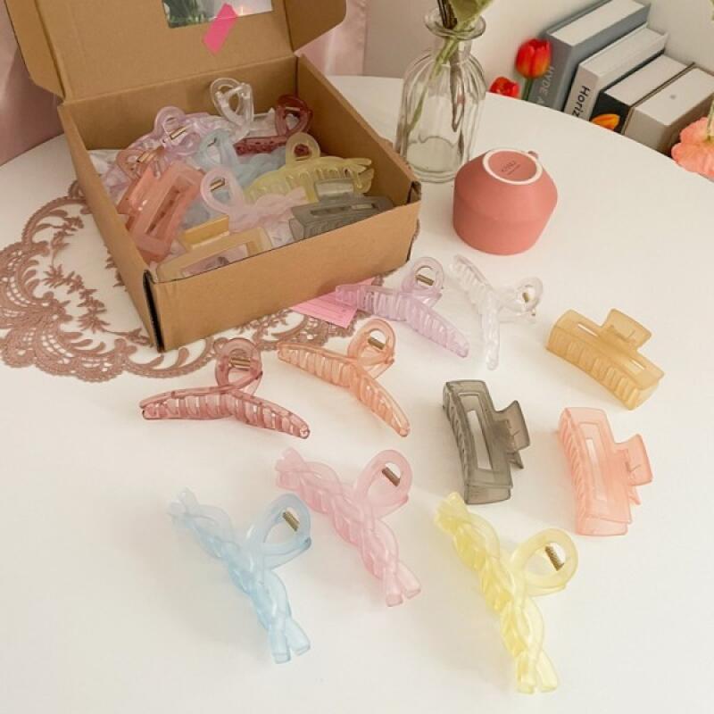 Simple Color Transparent Matte Hair Clips Set of 10