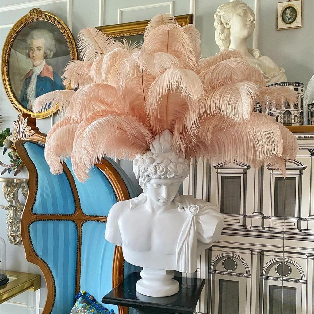 10PCS Colorful Natural Ostrich Feathers 20-50 CM8-20 inch for Handicraft Accessories Wedding Table Centerpiece Decoration Pluma