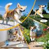 The Chase Buddy Dog Boredom Stimulating Toy Smart Pet Puppy Ball with Ropes Interactive Moving Dogs Balls Electric Rolling Ball