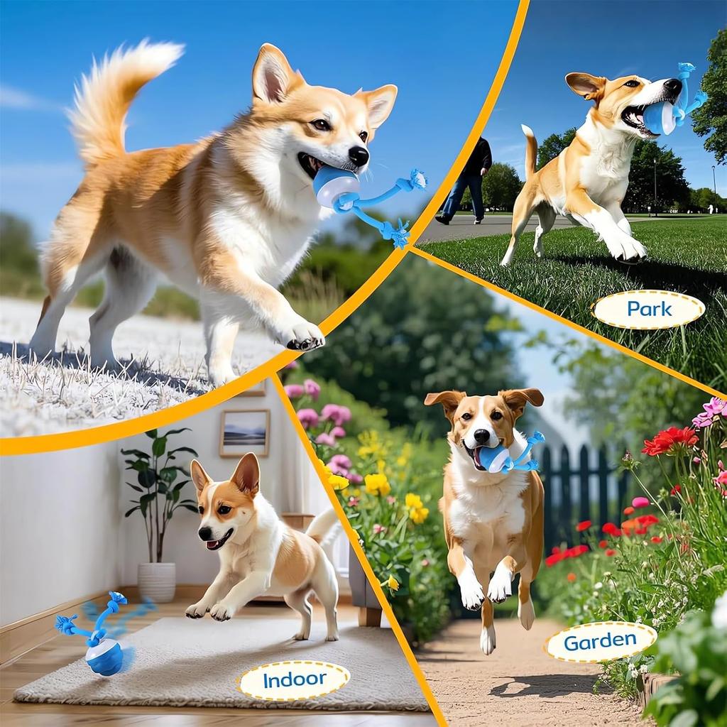 The Chase Buddy Dog Boredom Stimulating Toy Smart Pet Puppy Ball with Ropes Interactive Moving Dogs Balls Electric Rolling Ball