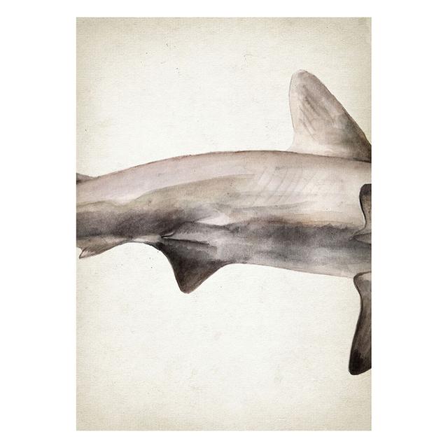 Marine Animals Canvas Paintings Great White Shark Posters and Prints Killer Whale Wall Art Picture for Home Decoration No Frame
