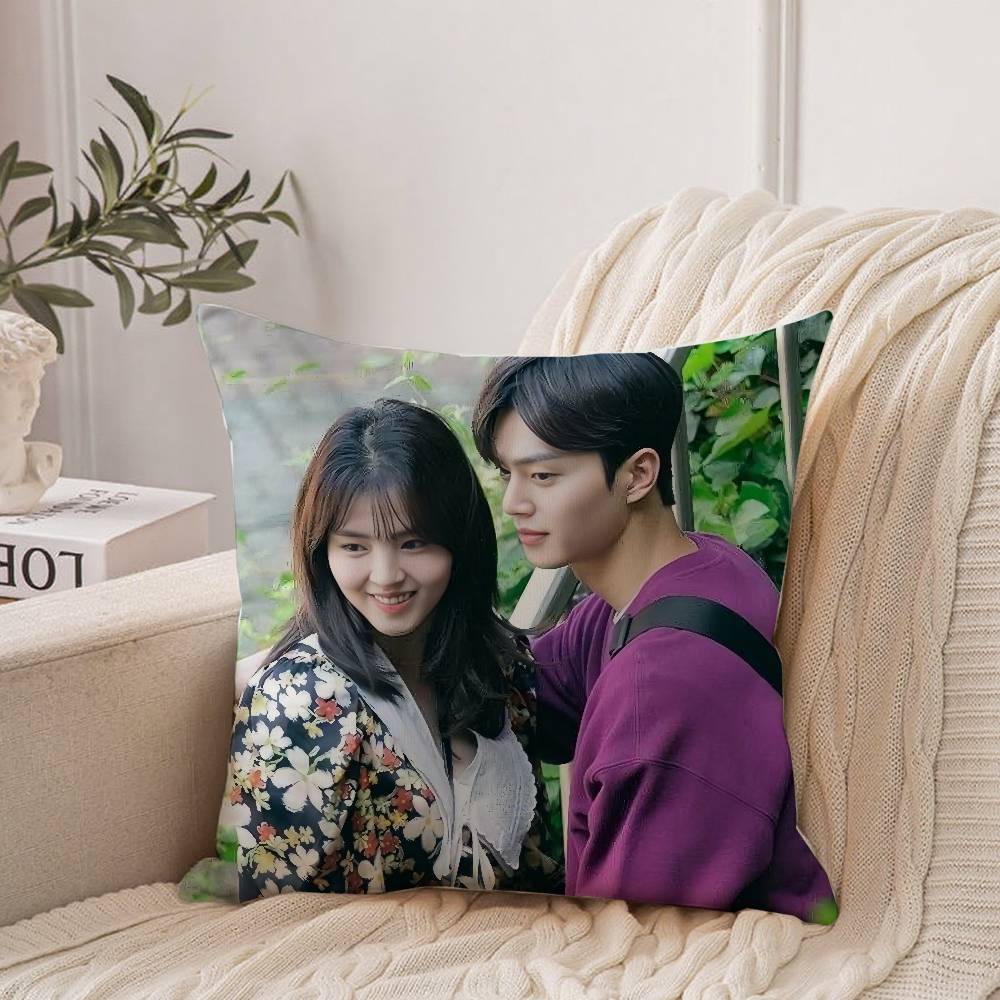 TV Series N-Nevertheless Pillow Case Home Decor Throw For Sofa Bed Car Room Decor Gift Idea