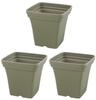 Richell Herb Planter, Square 30mm, Green, Set of 3 (Product Code: 001901)