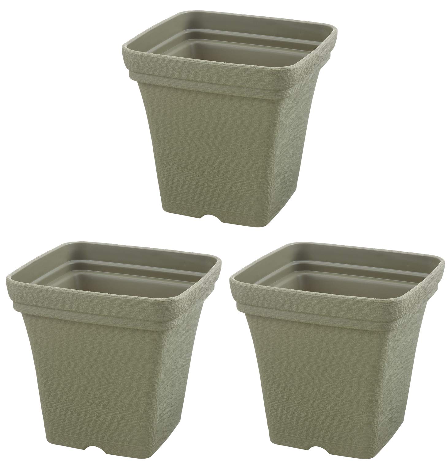 

Richell Herb Planter, Square 30mm, Green, Set of 3 (Product Code: 001901)