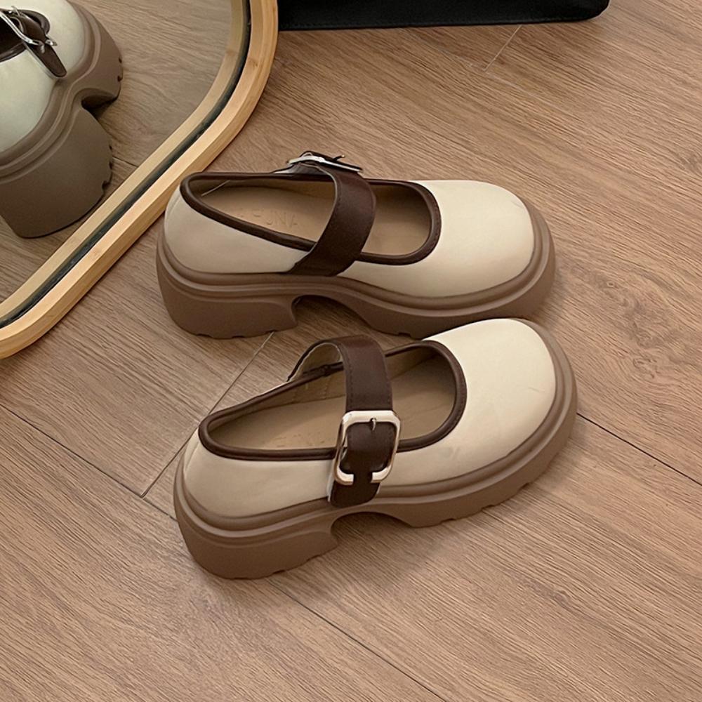 Pantofi singuri Casual Retro Toc gros Platforma Mary Jane Mici Pantofi din piele Femei