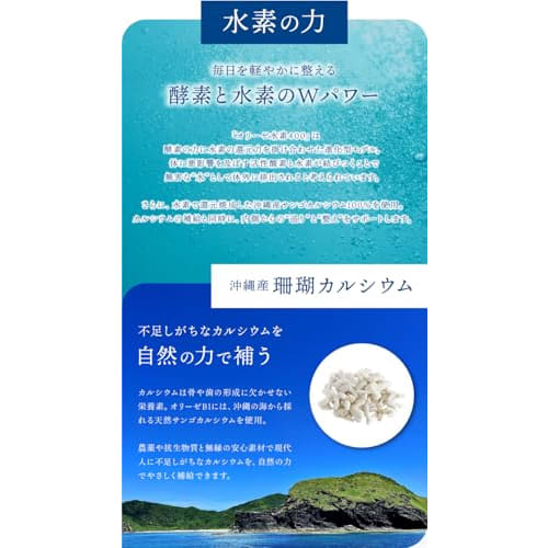 Oryze Hydrogen 400, a fermented vegetable food