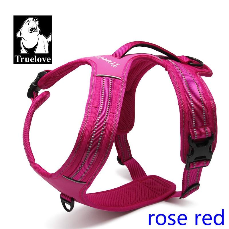 xs no pull dog harness