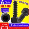8.8 Grade HB Black Hex Socket Cup Head Self-Tapping Screw (M3/M4/M5)