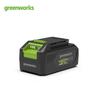 Greenworks Lithium-ion Replacement Battery CN Plug (adapter Included)