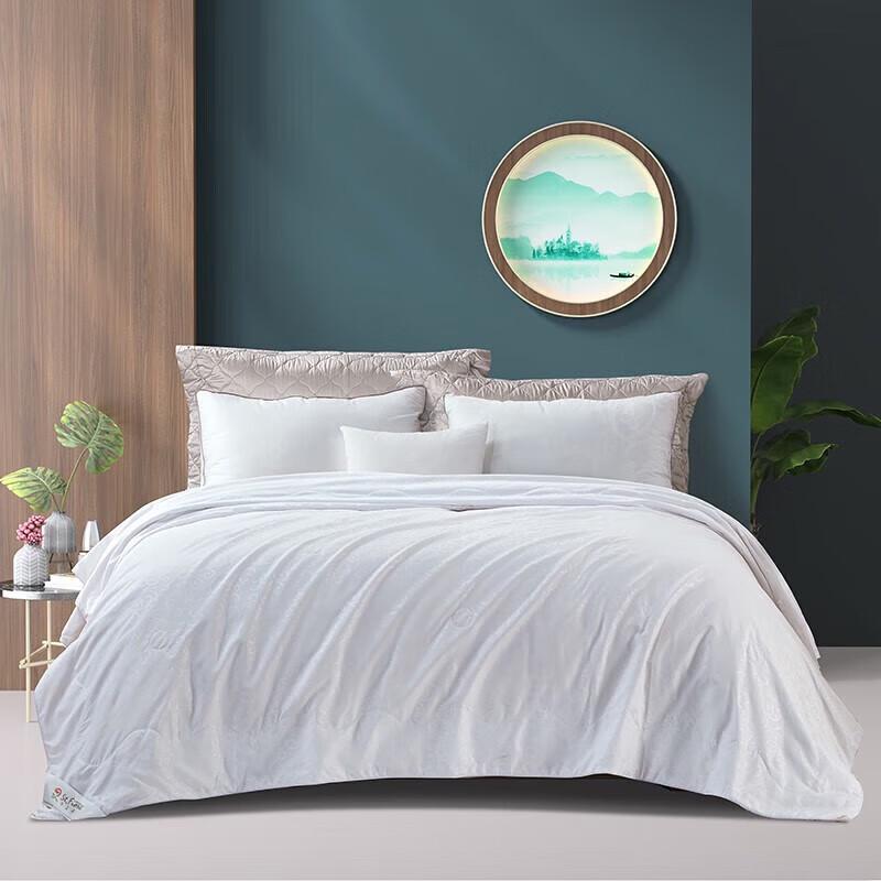 

Fuanna Elegant Silk Blend Summer Quilt