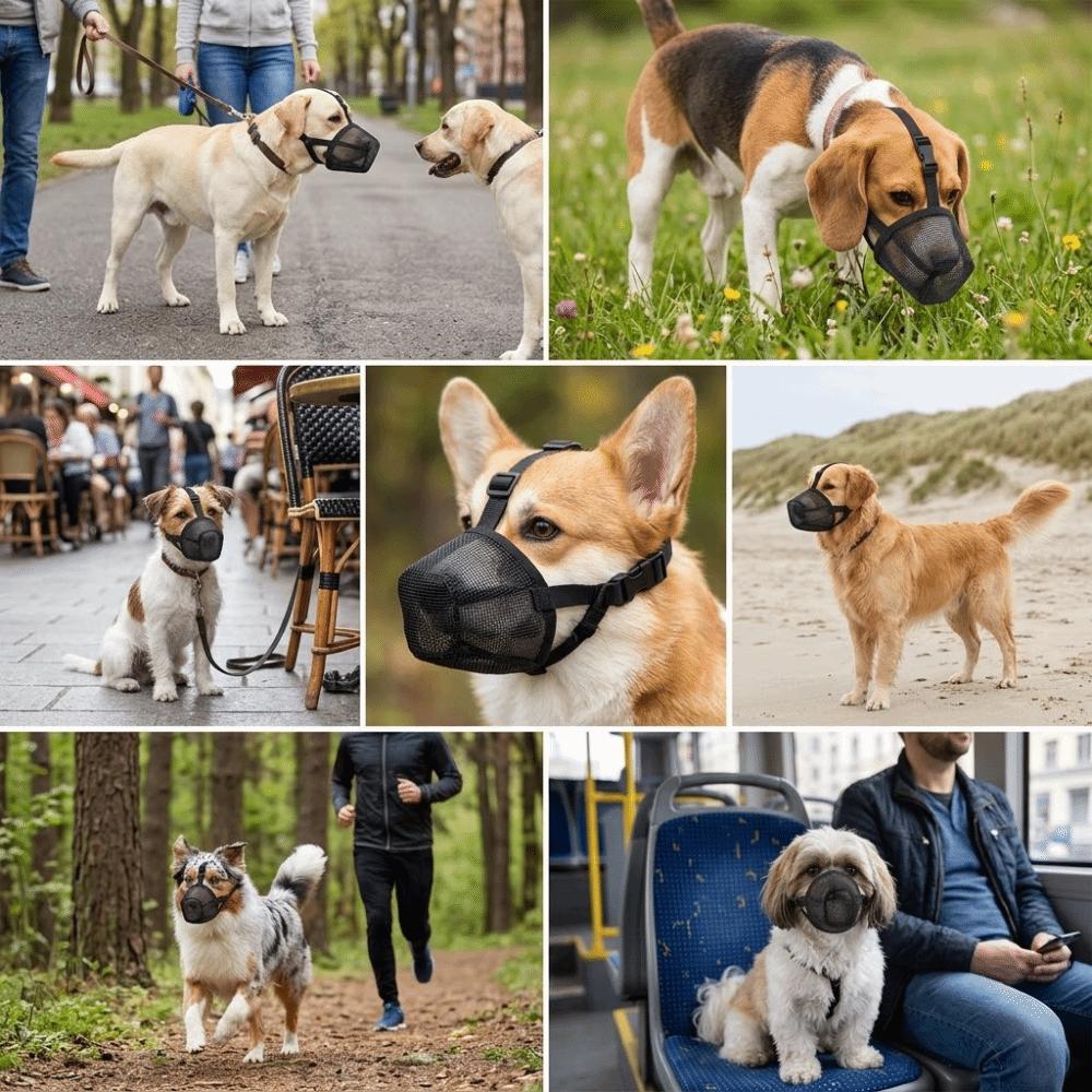 Grid Breathable Pet Mouth Cover Long Snout Fit Dog Bite Guard Pet Mouth Muzzle Anti Scavenging