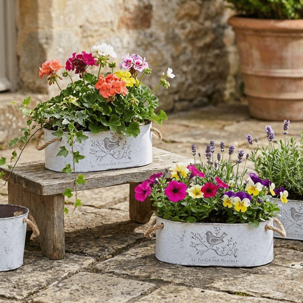 Distressed Finish Metal Flower Pot Vintage Style Succulent Planter Plant Container Bedroom