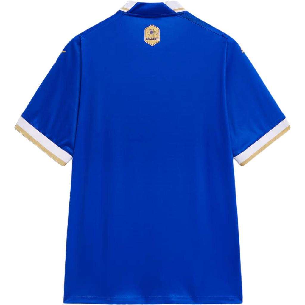 Puma Sbfc Home Jersey Striped Print Comfortable Breathable Versatile Short Sleeve Football Shirt Men Jerseys Water-Blue 940800-01