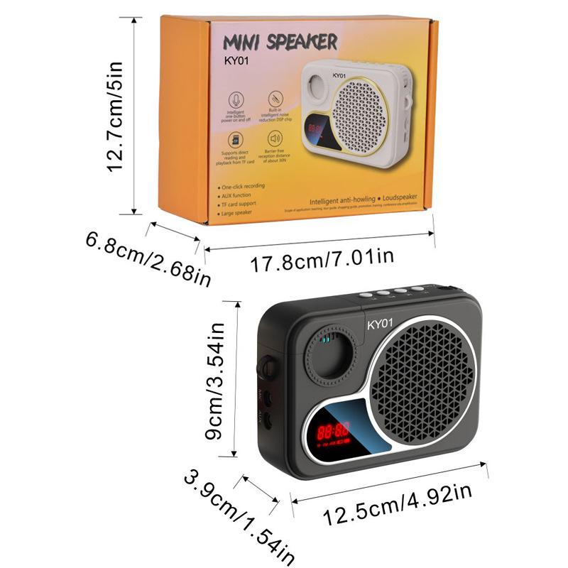 Portable Bluetooth Speaker & Lightweight Wireless Microphone for Teachers & Musicians