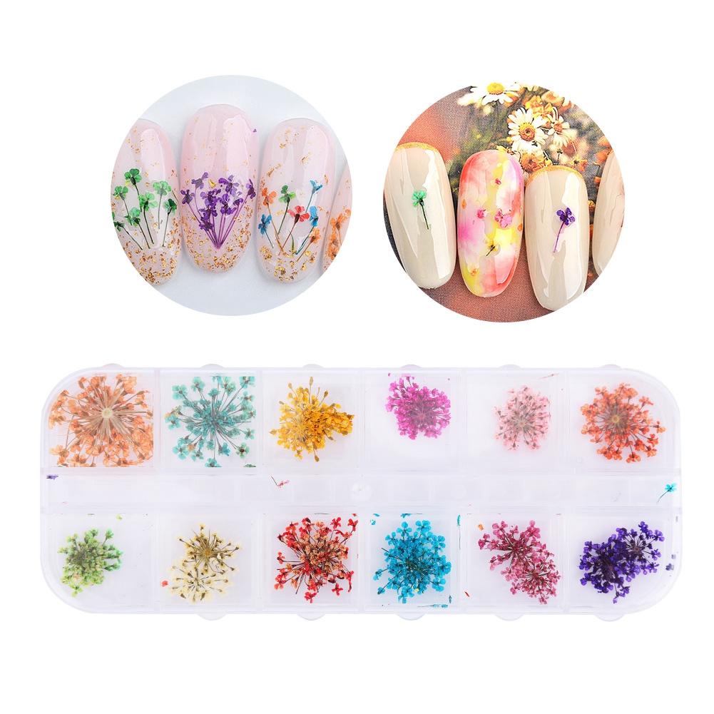 12 Colors Natural Dried Flower for Acrylic UV Gel Nail Art Tips Design Case DIY Decor A
