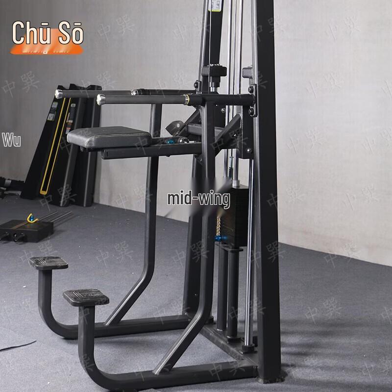 Zhongxun EM1025 Knee Raise and Dip Station