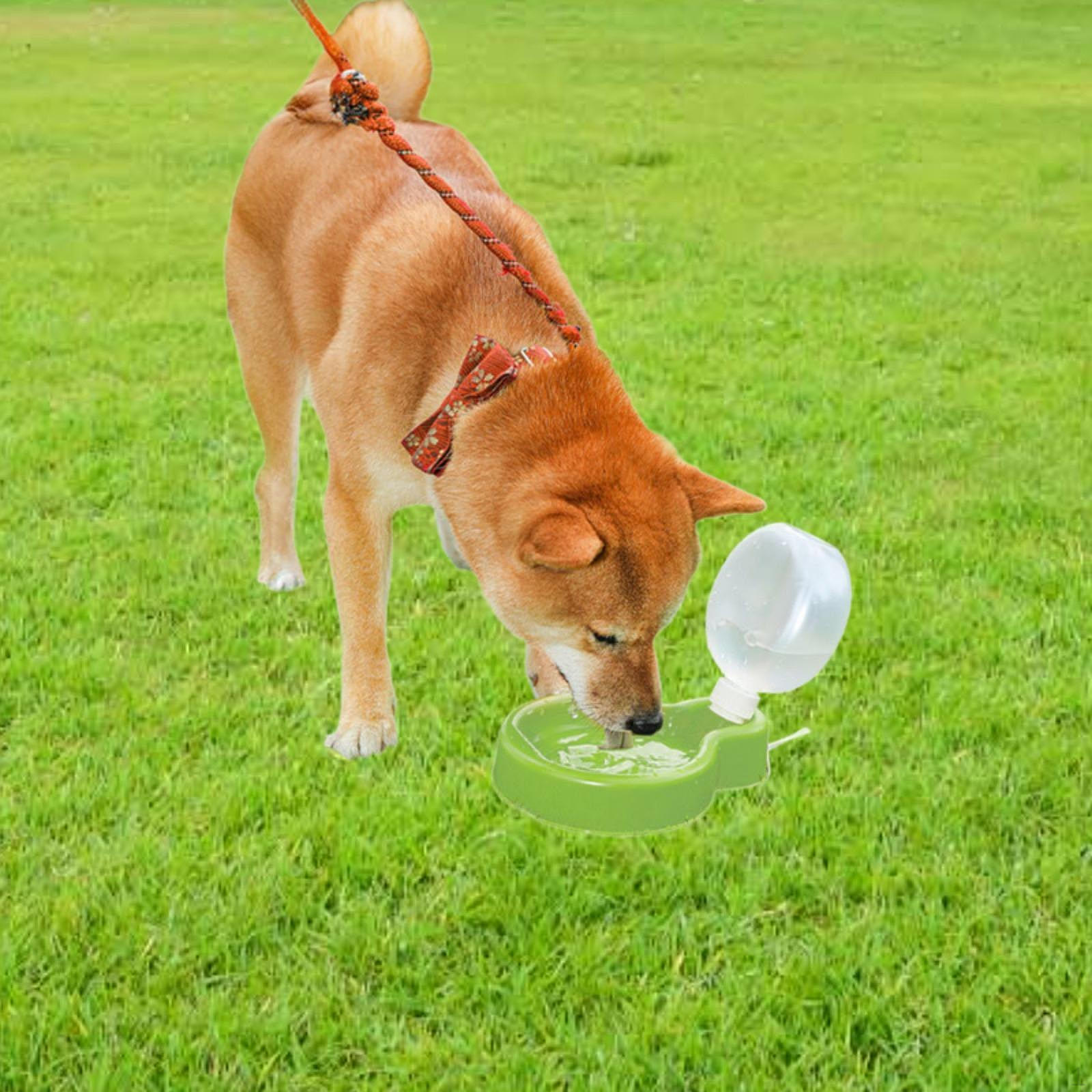 

2 шт. бутылка для воды для собак на открытом воздухе, диспенсер для напитков для собак, 500 мл, портативная чашка для питья домашних животных зелёный