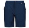 Regatta Highton Mid Shorts