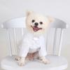 Spring and Autumn Pet Bottoming Shirts Versatile Slim Dog Clothes Boutique Pet Trendy Clothes