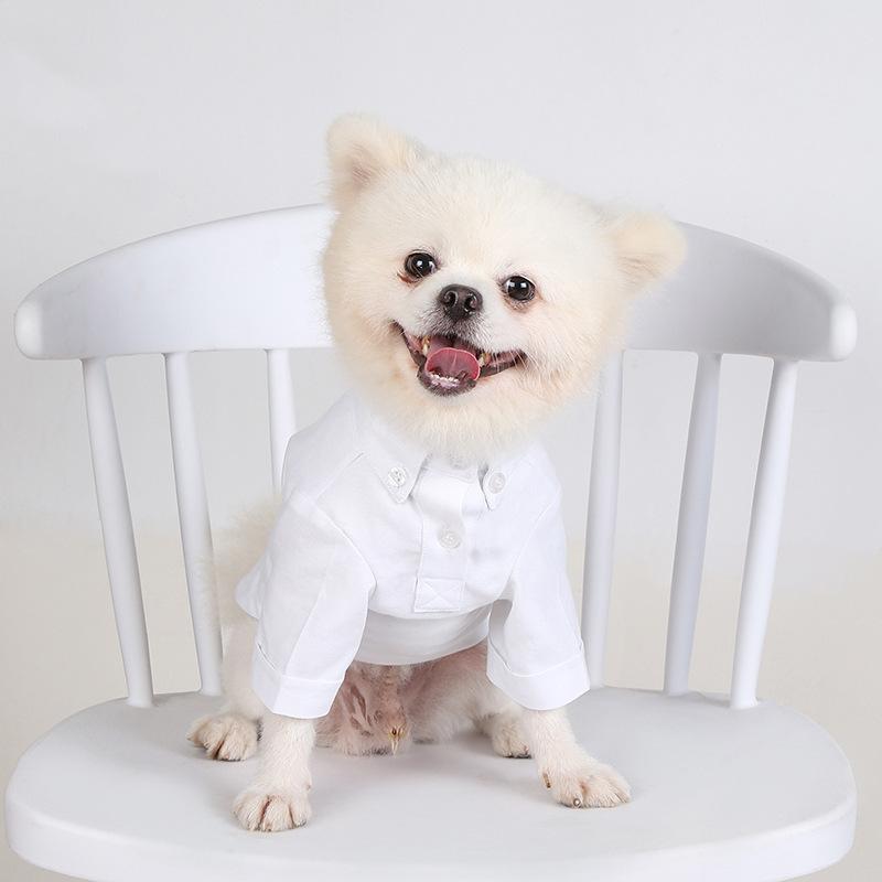 Spring and Autumn Pet Bottoming Shirts Versatile Slim Dog Clothes Boutique Pet Trendy Clothes