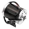 500W 36V Elektrische ATV Strandauto Hoge Snelheid Geborstelde Motor Scooter