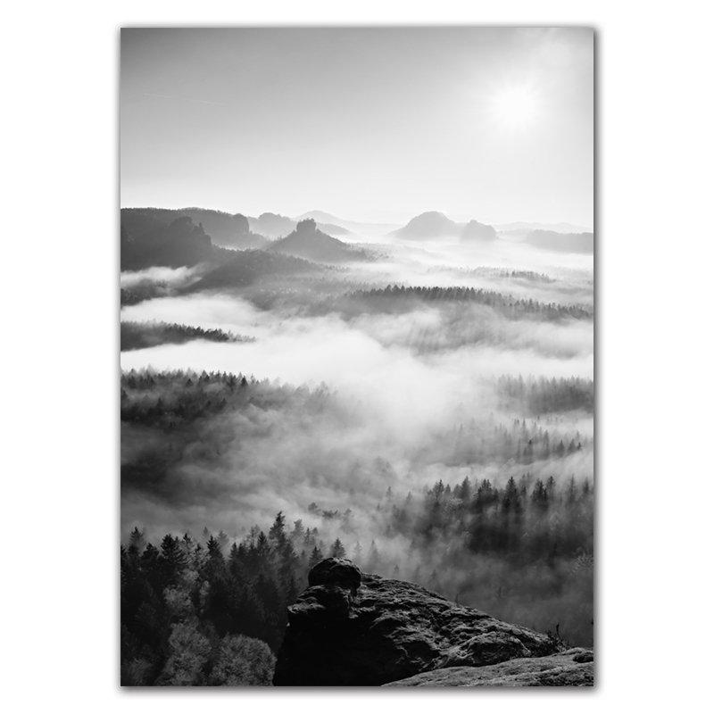 Träbro Landskap Flicka Fåglar Svart Vit Konstaffisch Träd Skog Surf Natur Bildtryck Skandinavisk väggdekor HD0134