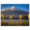 2026 Four Seasons of Fuji Calendar Mt.