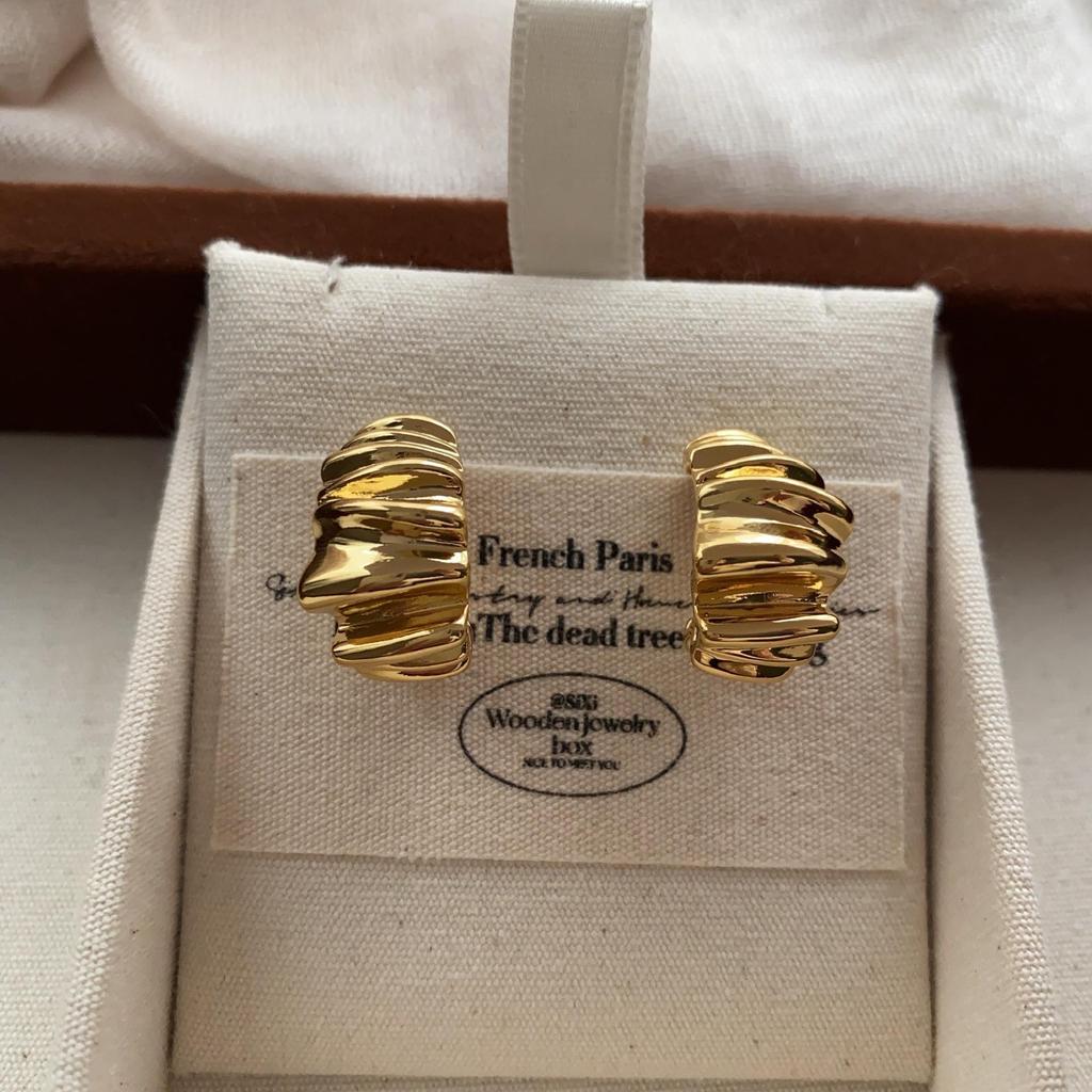 Metal Three-Dimensional Pleated Stud Earrings, Niche Design, Retro Personality, Advanced Temperament, Light Luxury And Neat Earrings.