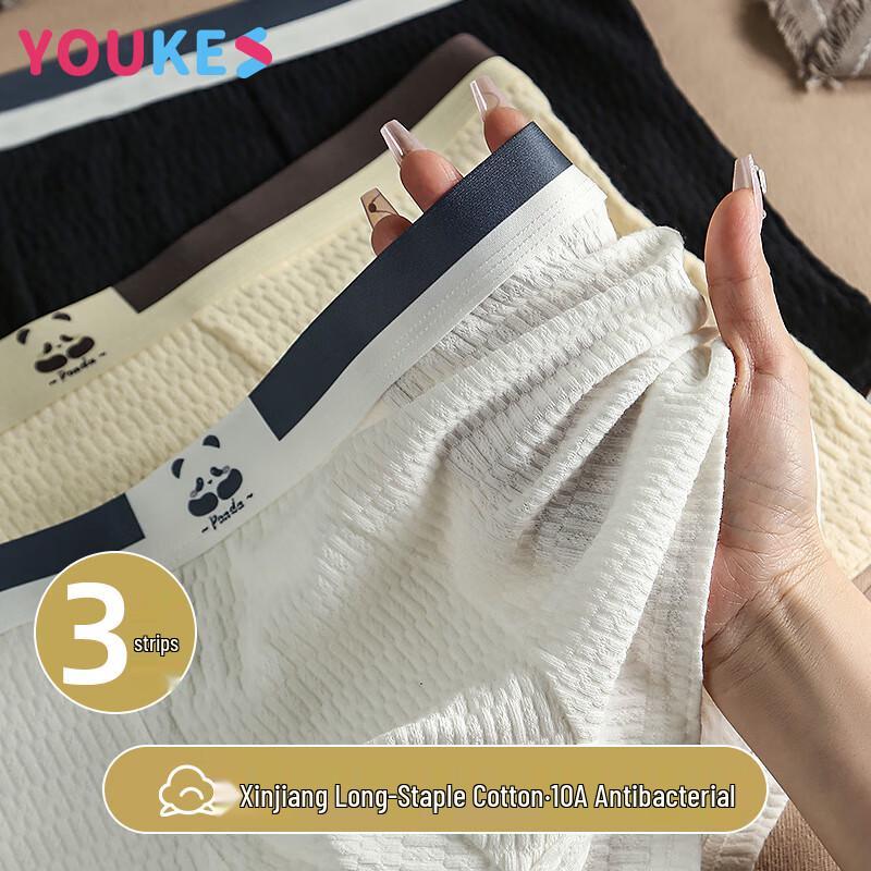 

Youkeshu Men s 10A Antibacterial Pure Cotton Boxer Briefs 4XL
