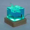 Handcrafted White Whale Night Light Diver Deep Sea Night Lamp with USB Oak Stand RGB Bedside Table Home Decor