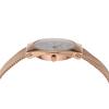 Skagen Grenen Lille Solar Powered Watch SKW3078 Women's Pink Gold