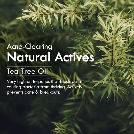 Nat Habit Neem Cream Face Wash For Oily Skin Acne, Pimple , Paraben & Sulphate Free Face Cleanser For Men & Women, (100 G)