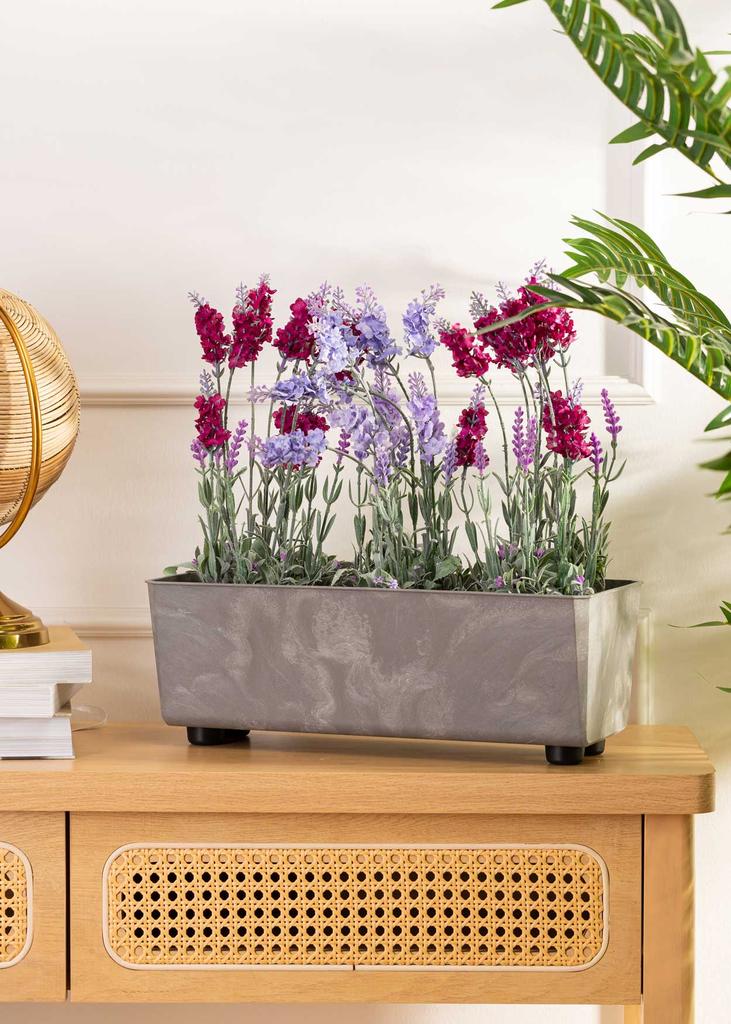 Salvia Gray Concrete Flower Box