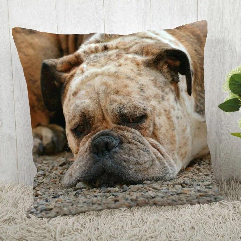 Pillowcase Bulldog  Modern Home Living Room Decoration