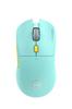 Periferice pentru calculatoare – Mouse-uri