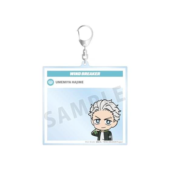 TV Anime WIND BREAKER Umemiya Hajime Chibi Big Acrylic Keychain