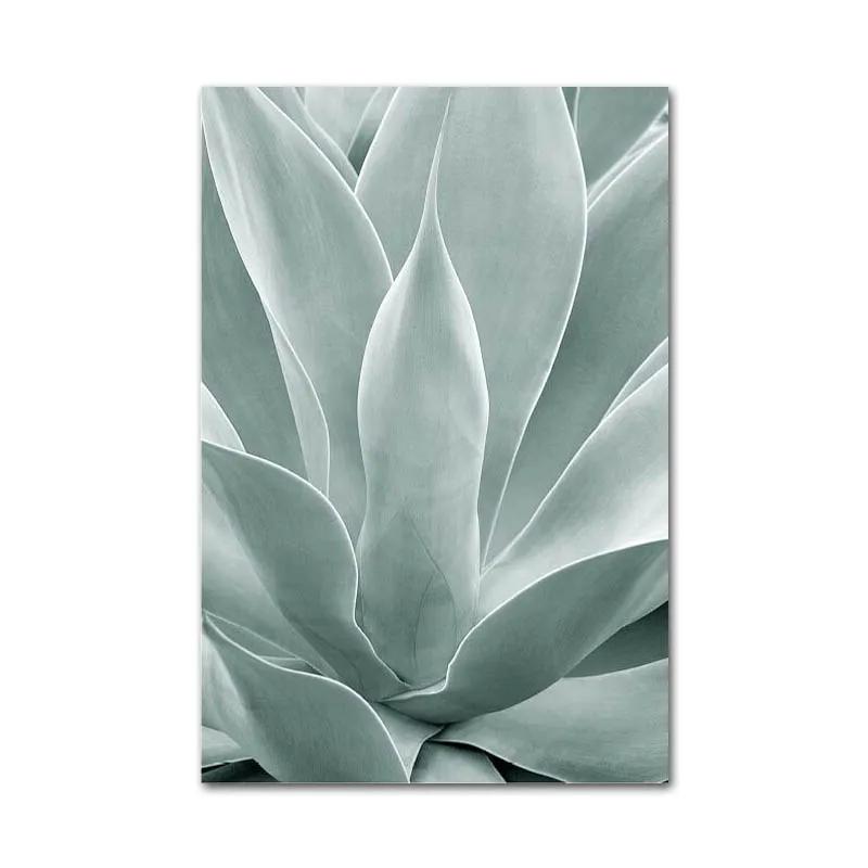 

Павлинье перо искусство ветка дерева животное леопард слон живопись плакат печать рябь воды алоэ абстрактная настенная картина декор 21x30cm No Framed