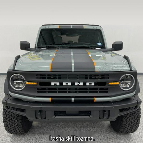 Bronco Wild Horse Car Hood & Pinstripe Stickers for Decoration & Modification