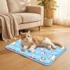 Anti Bite Pet Cooling Mat Non-Slip Pet Ice Cushion Floor Mat Cool Nest  for Small Dogs